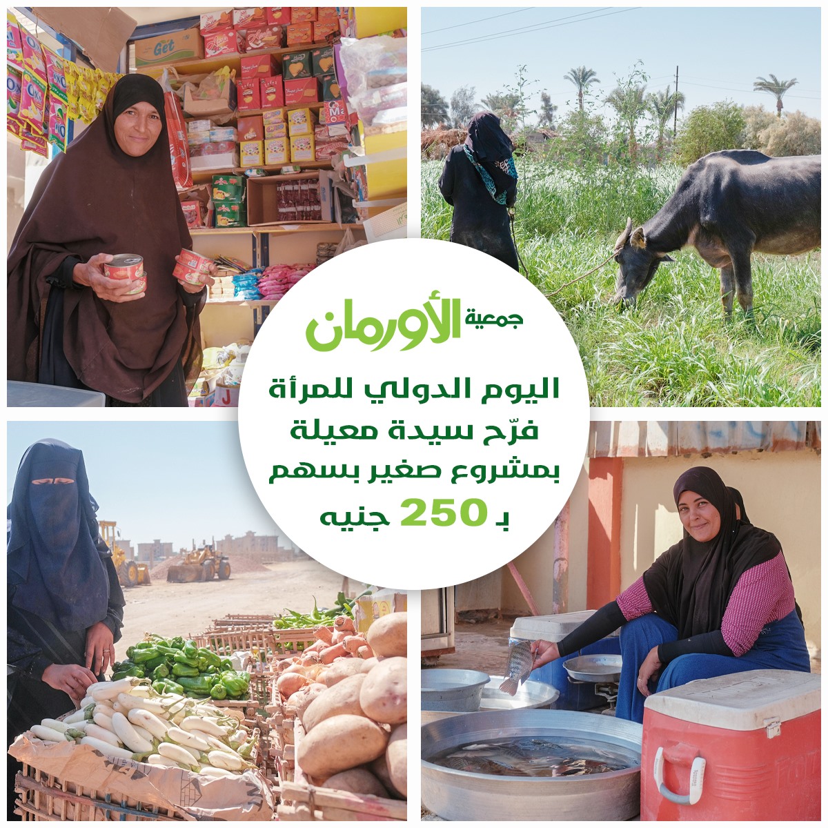 الخبر