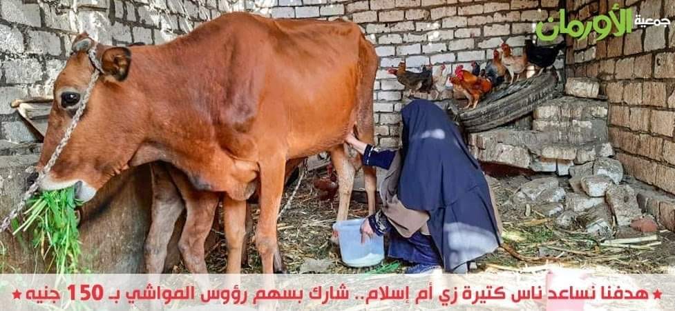 الخبر