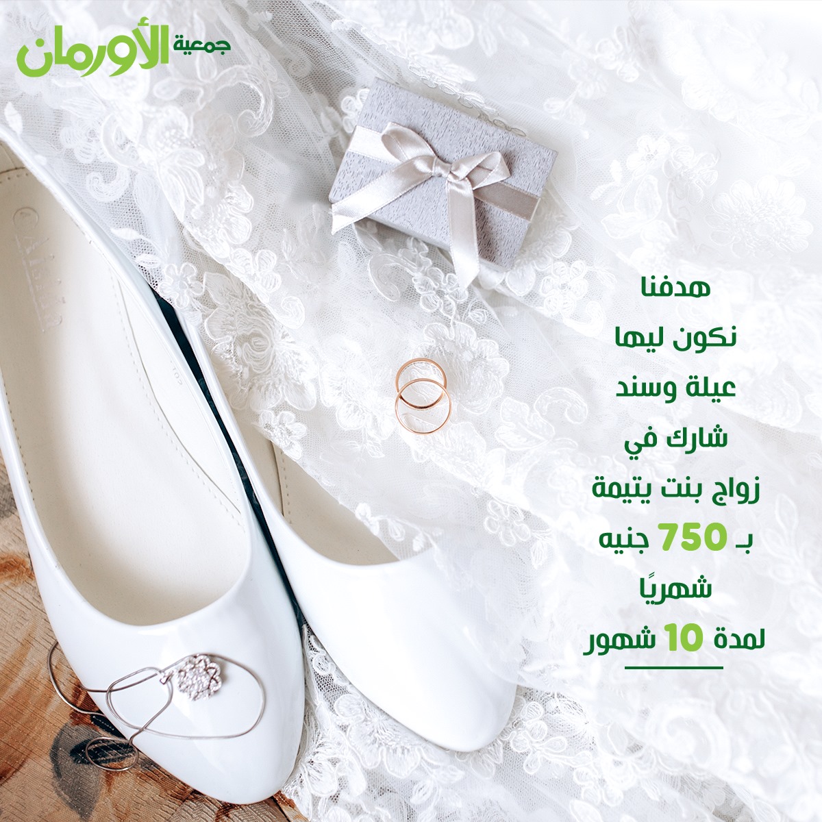 الخبر