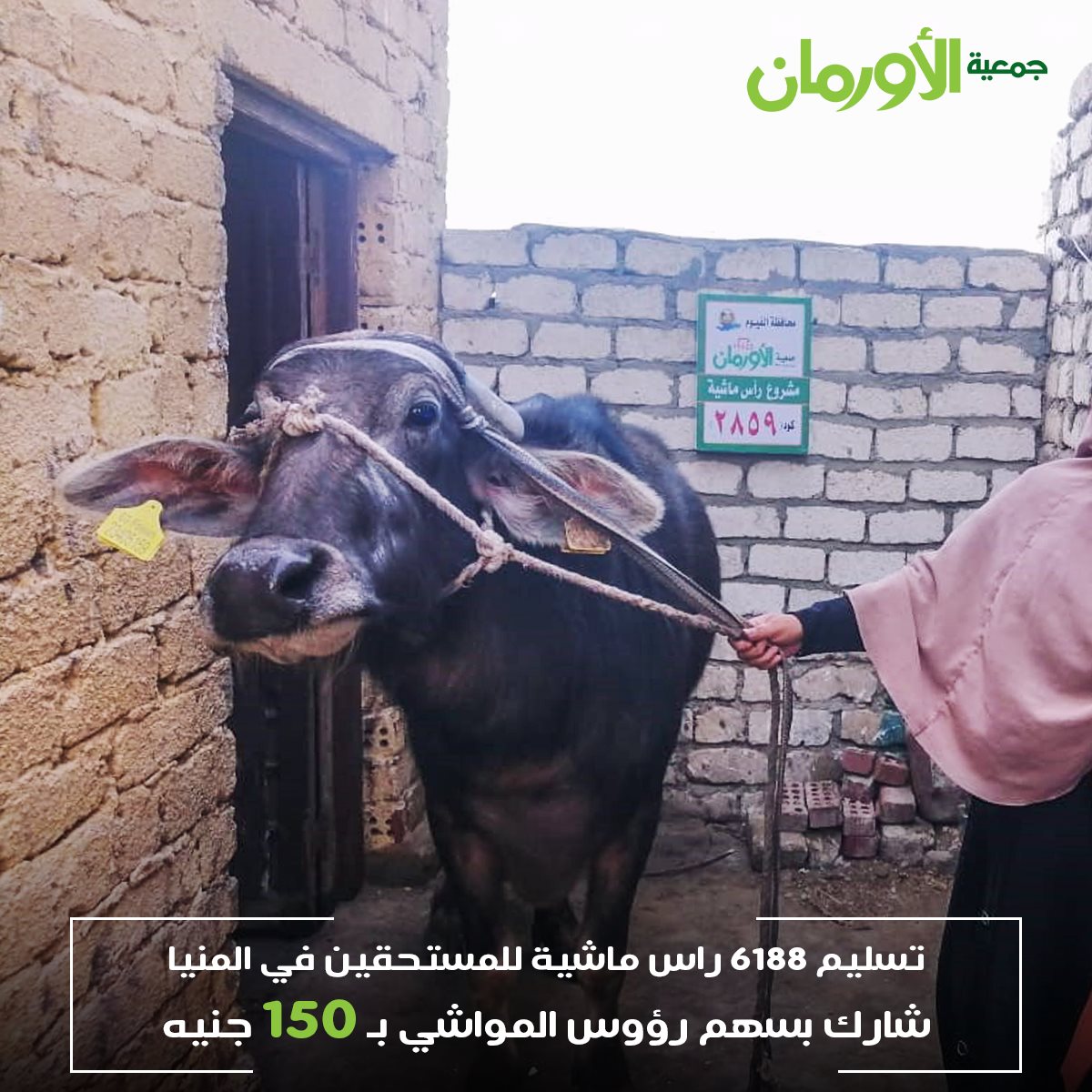 الخبر