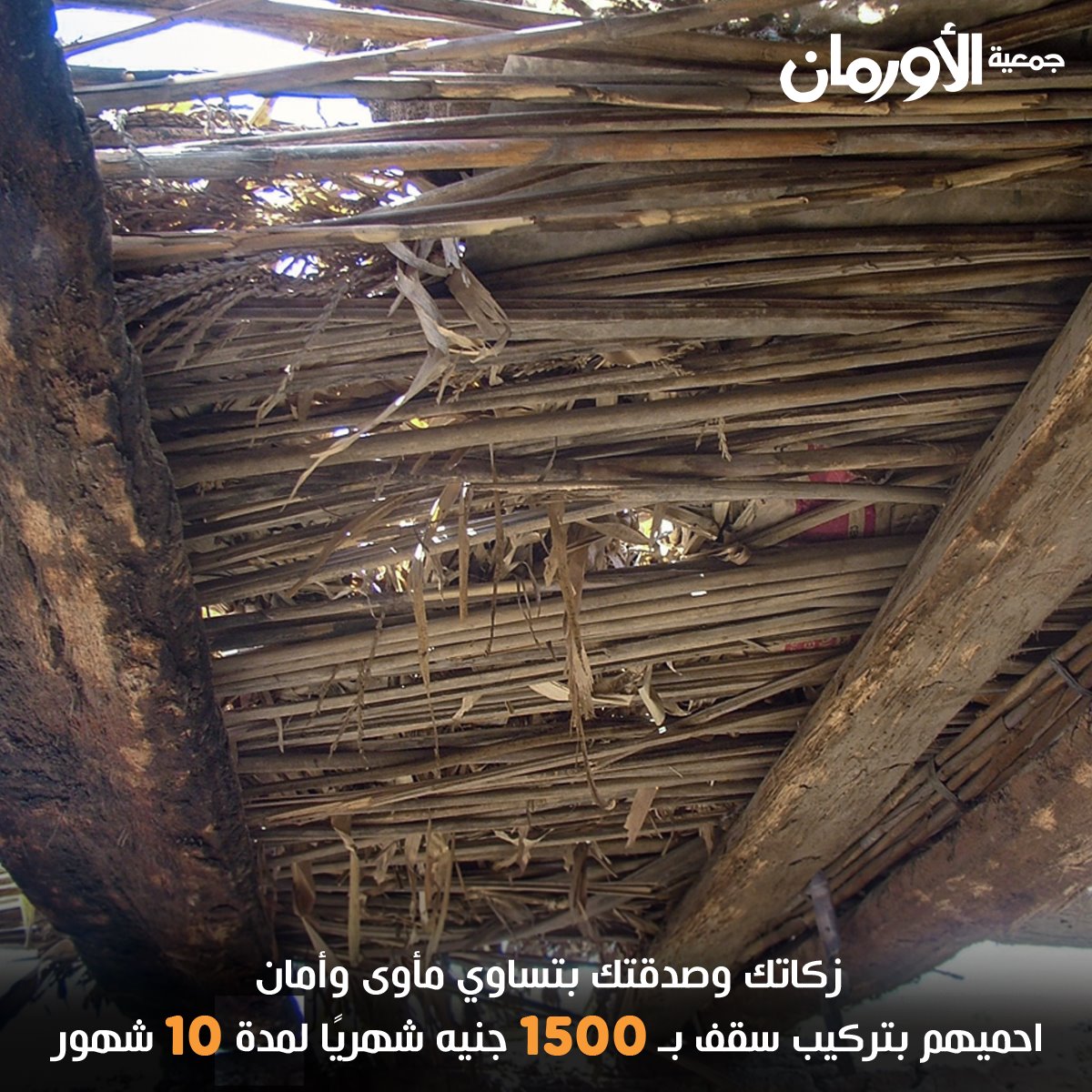 الخبر