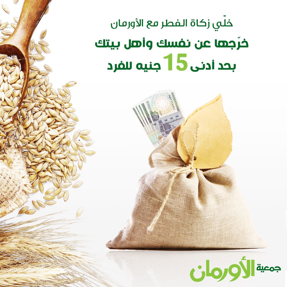 الخبر