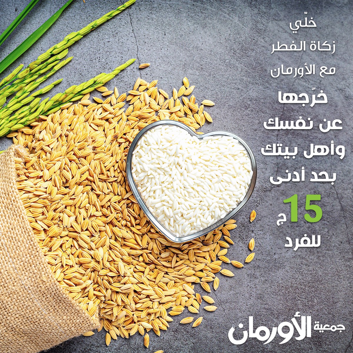 الخبر