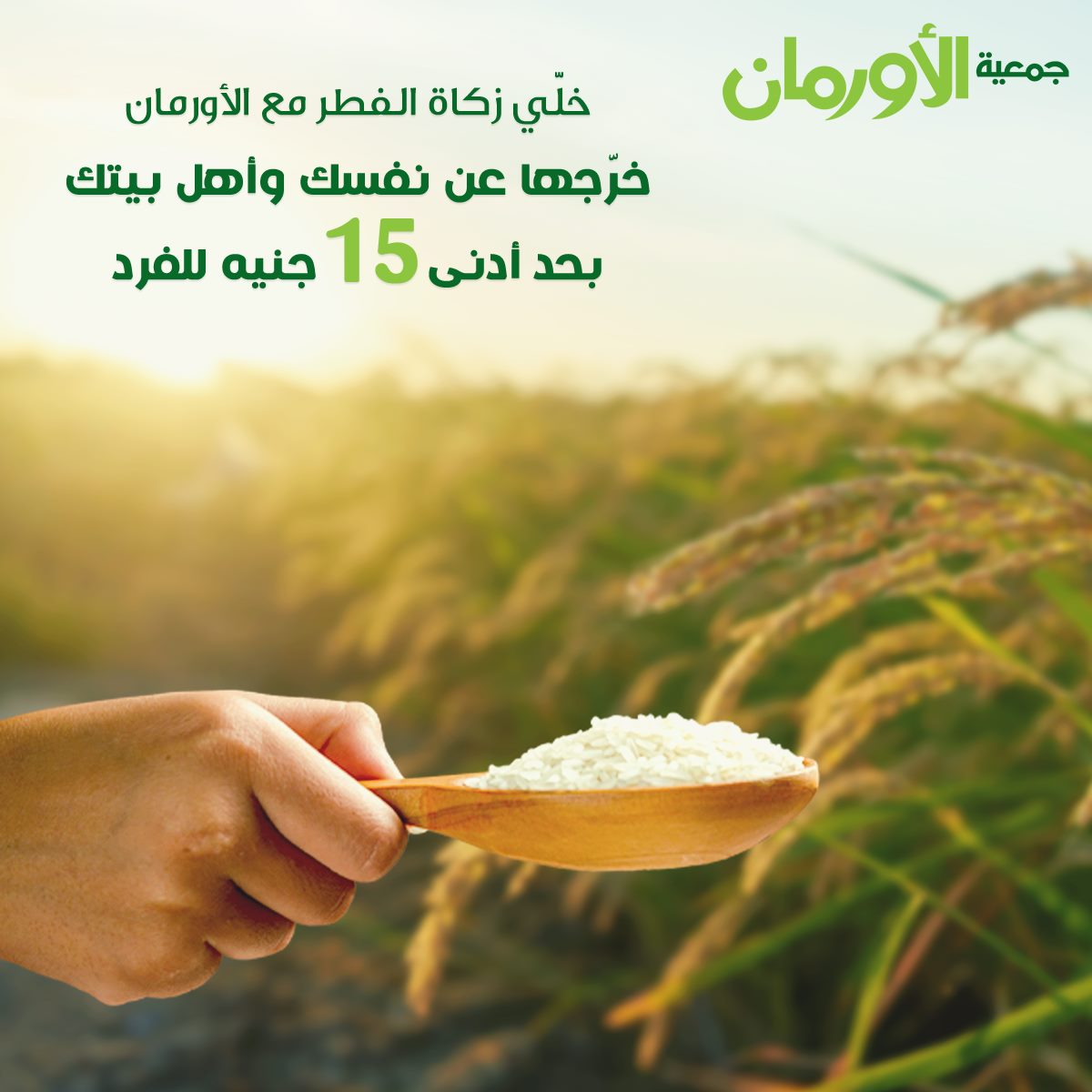 الخبر