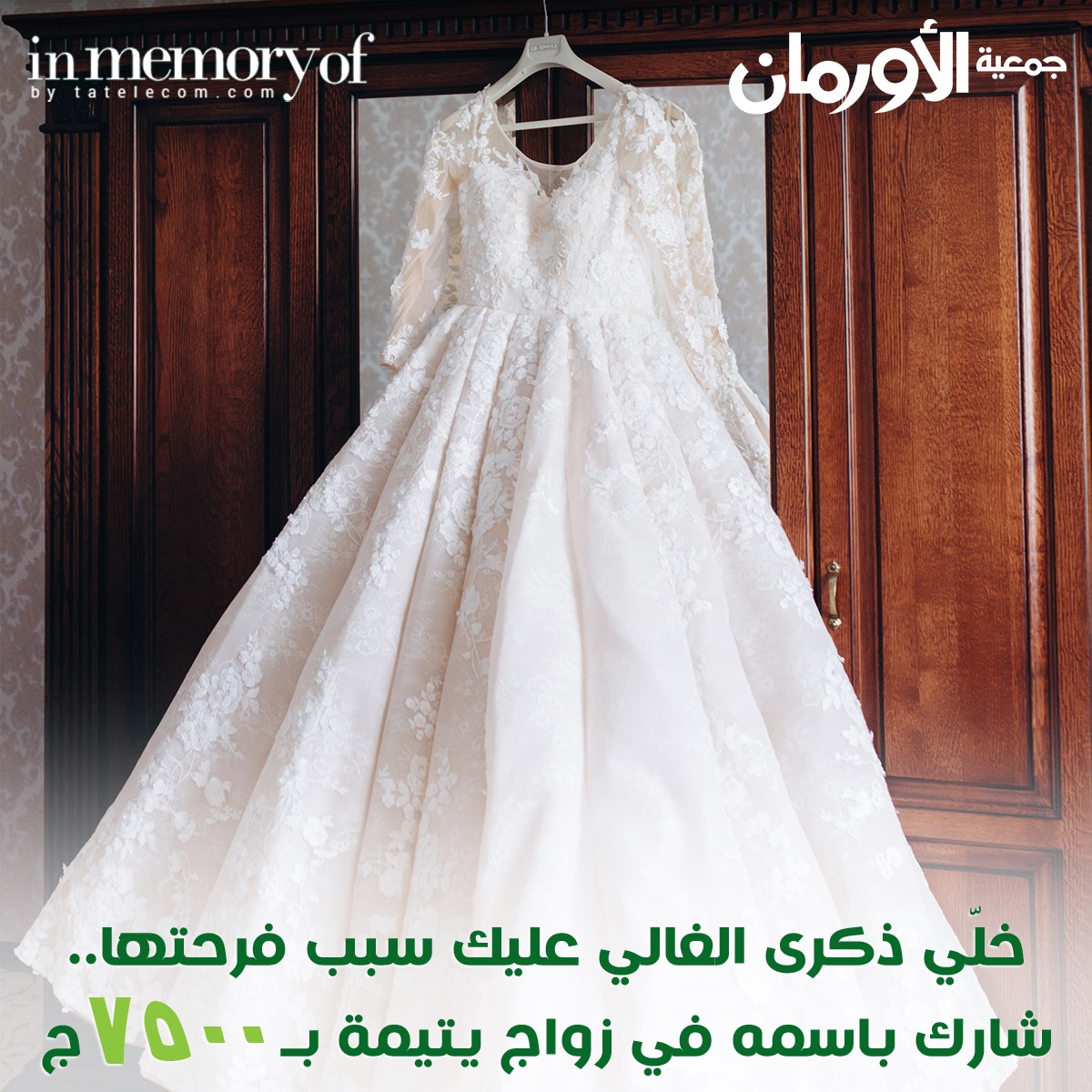 الخبر