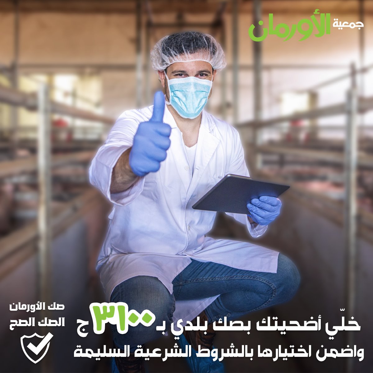 الخبر