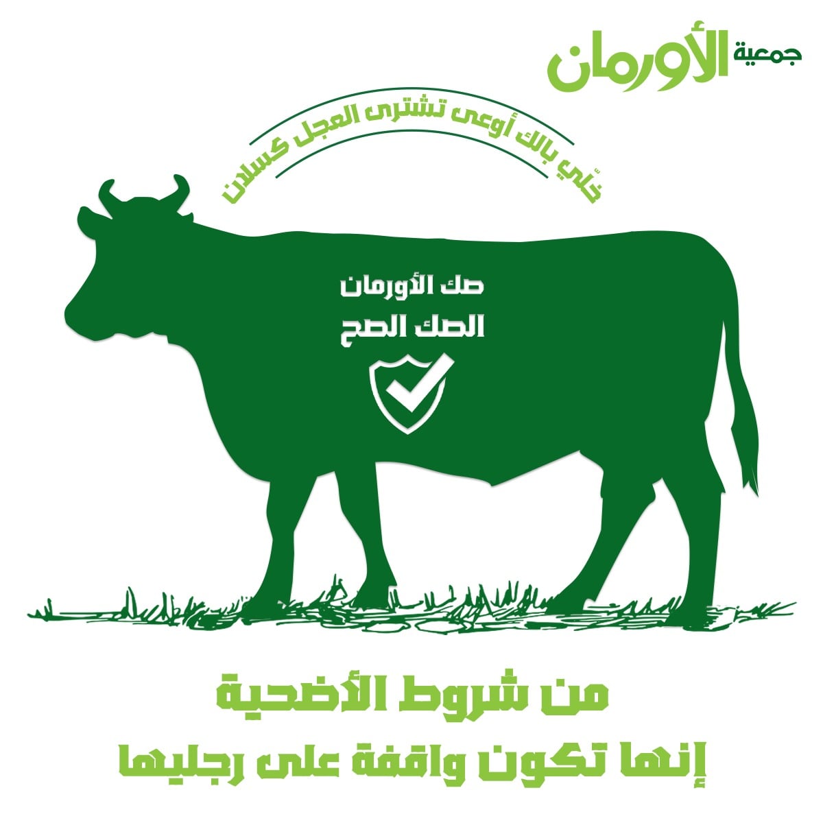 الخبر