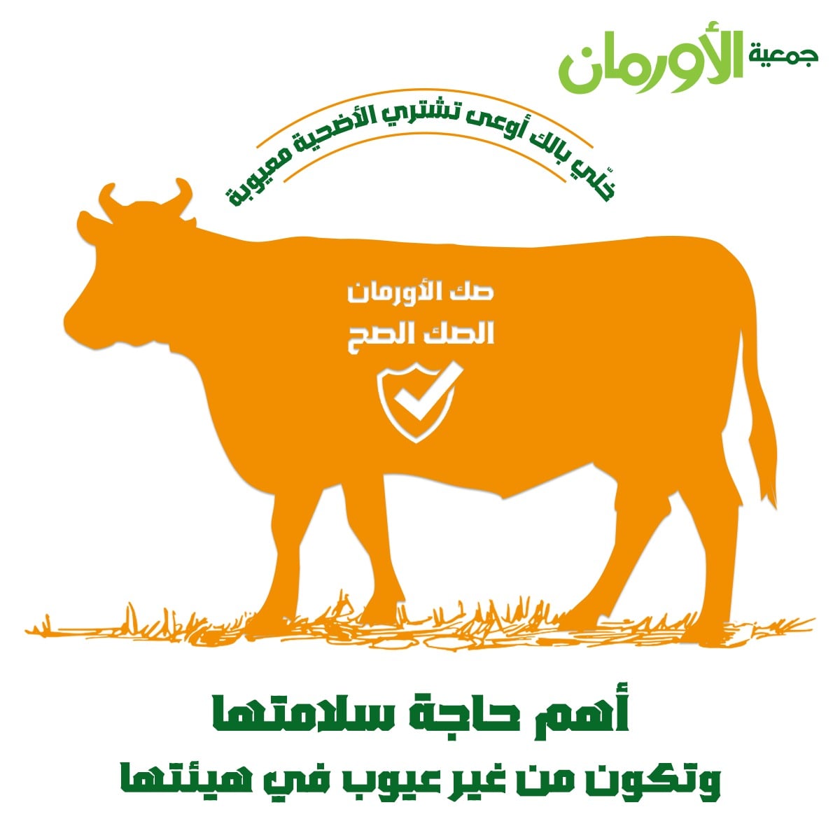 الخبر