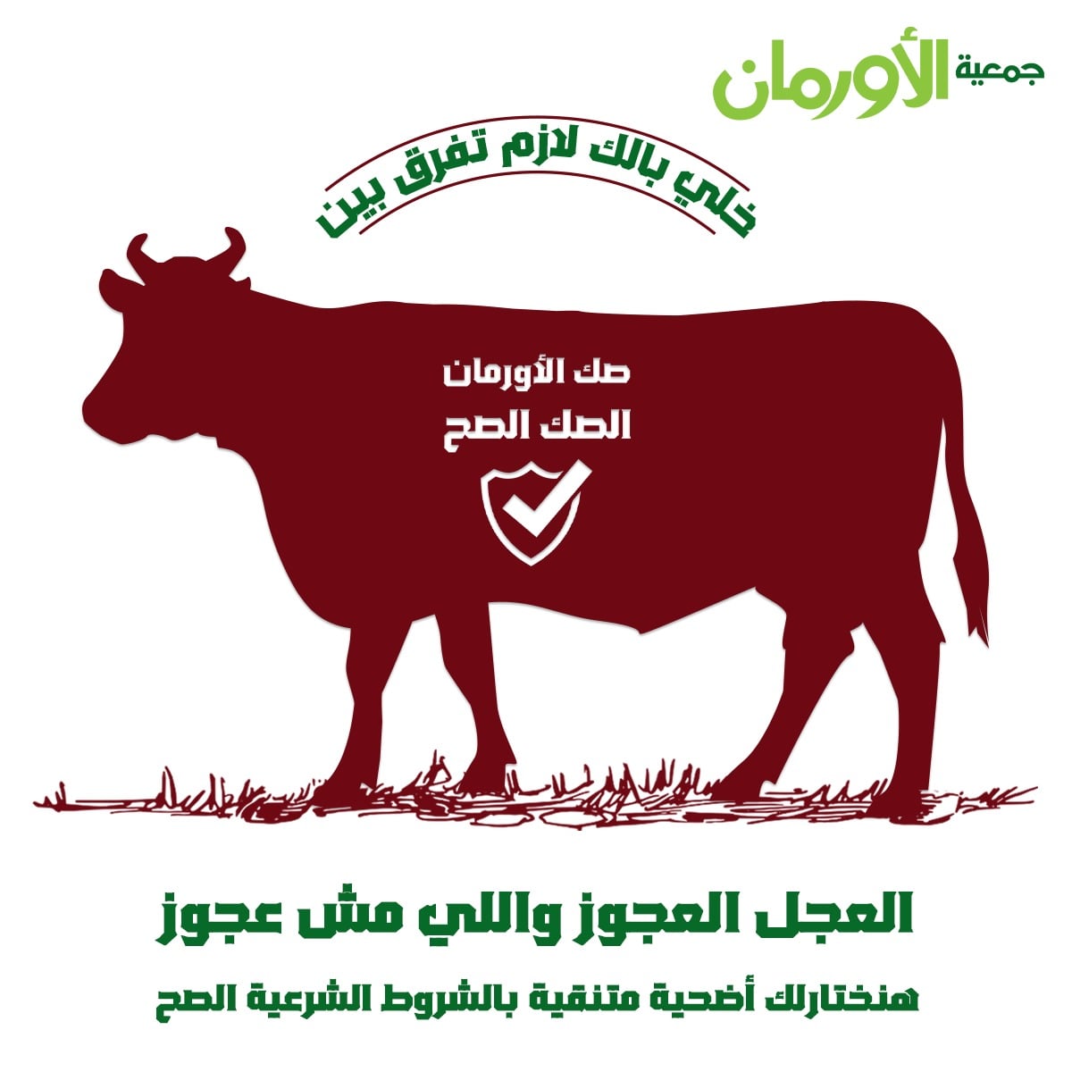 الخبر