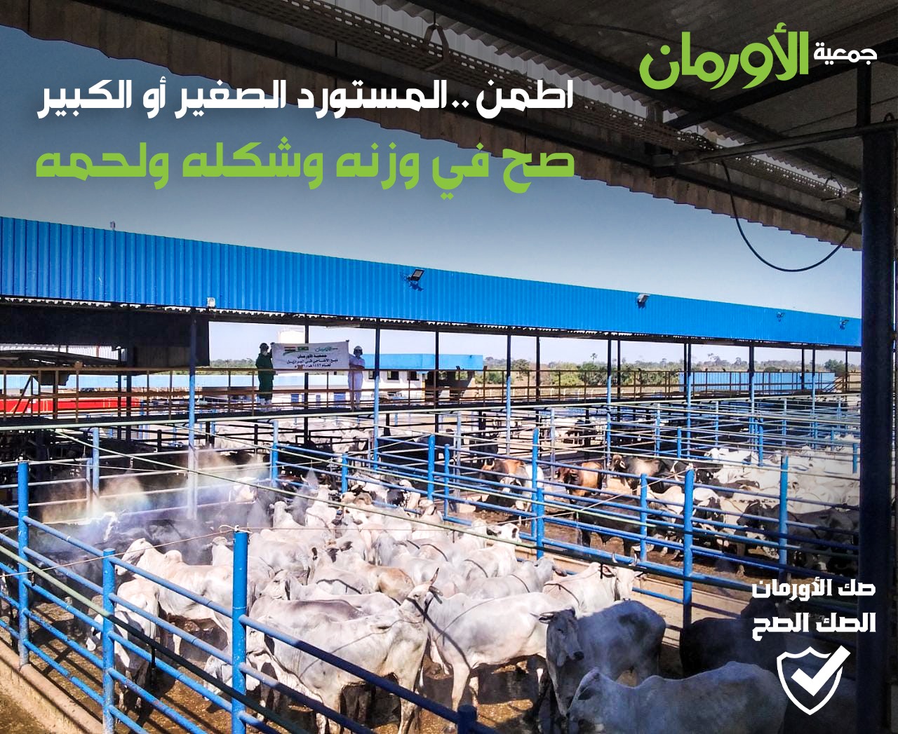 الخبر