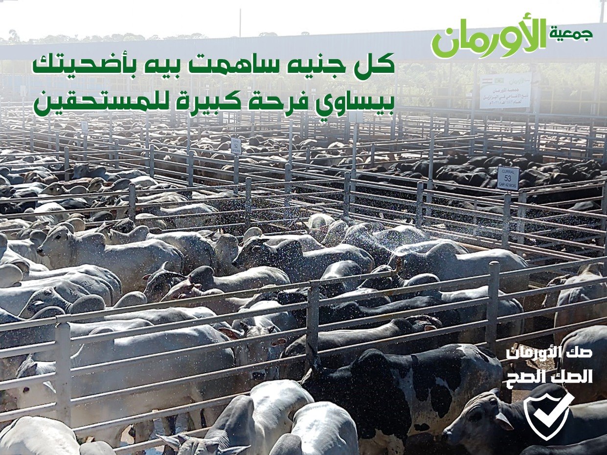 الخبر