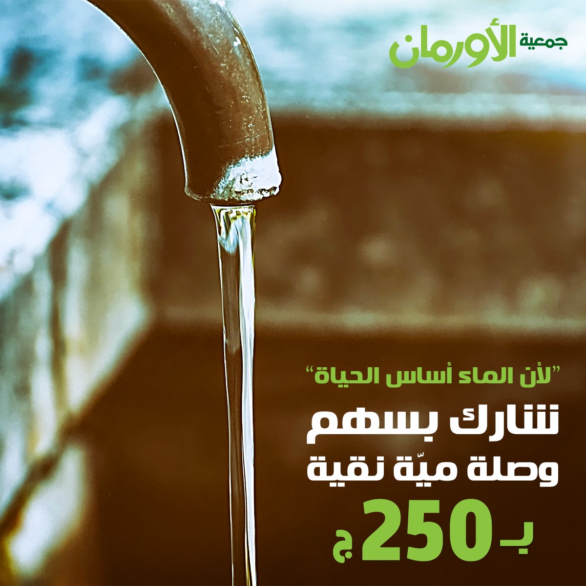 الخبر