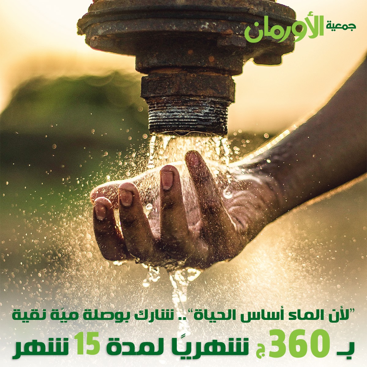 الخبر