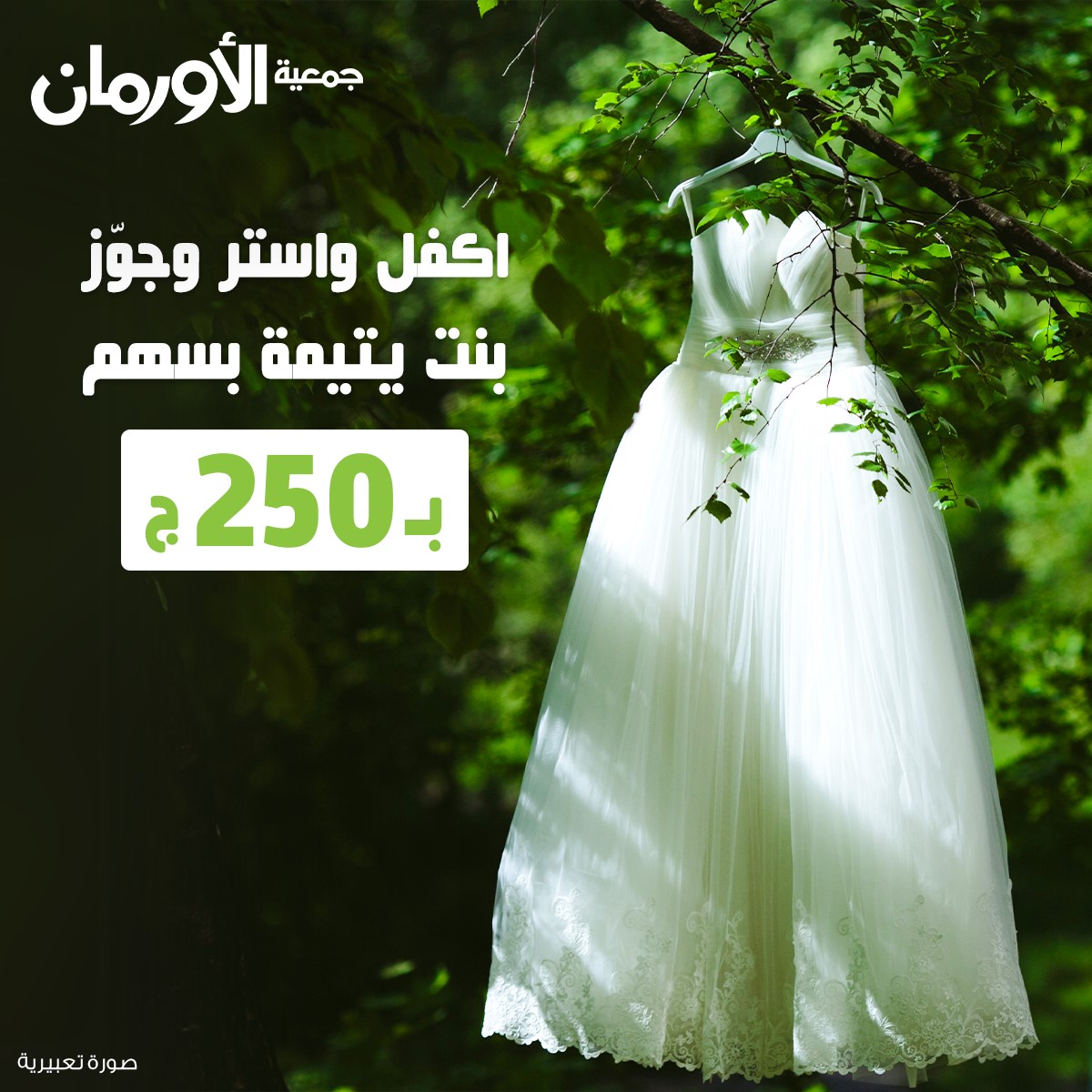 الخبر