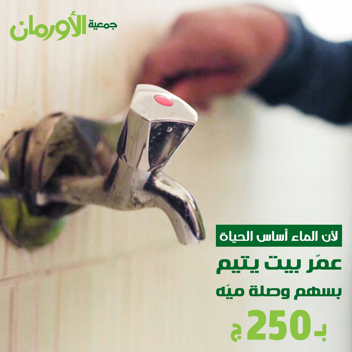 الخبر