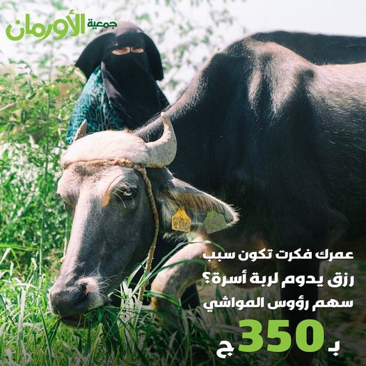 الخبر