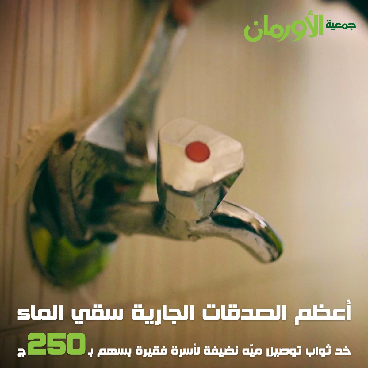 الخبر