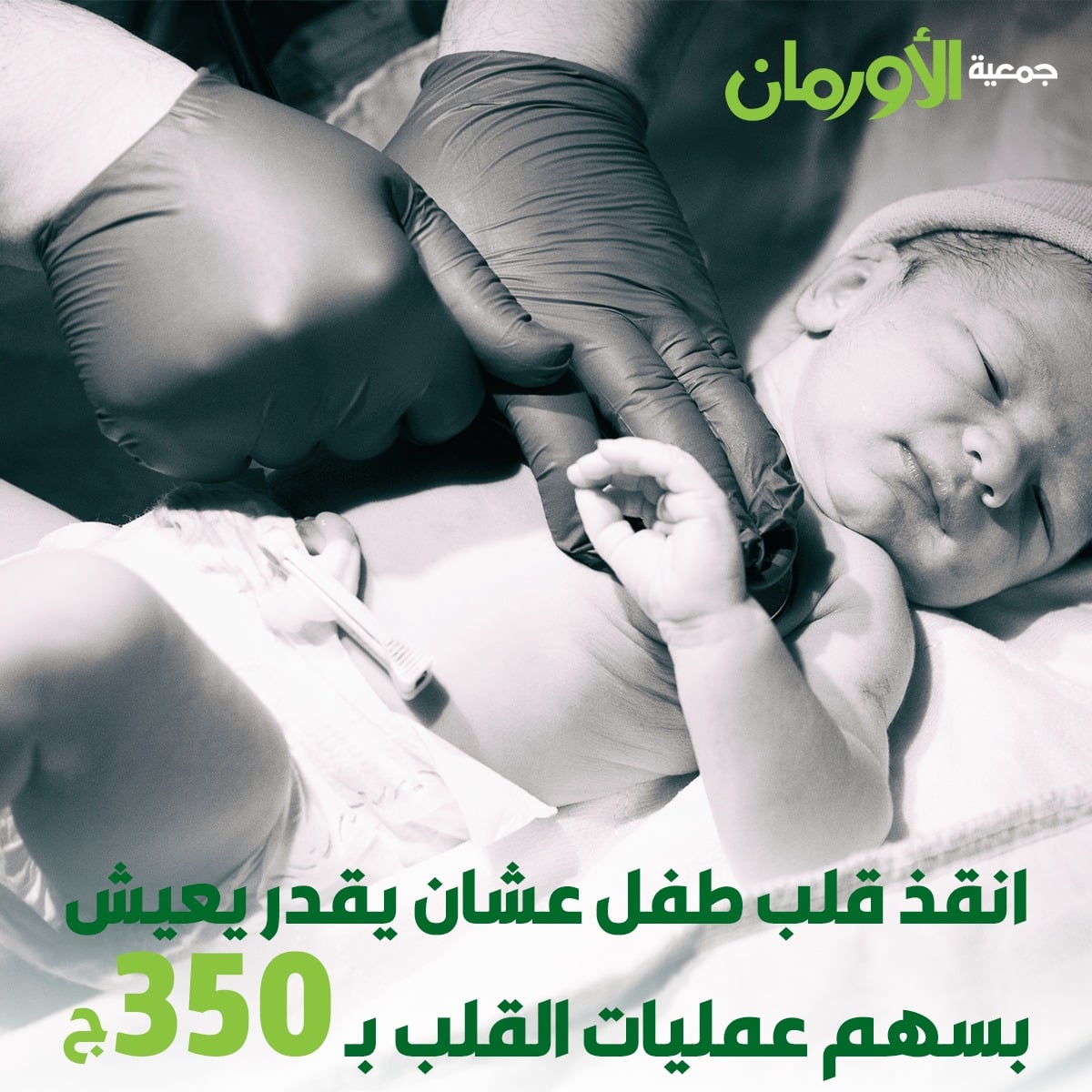 الخبر