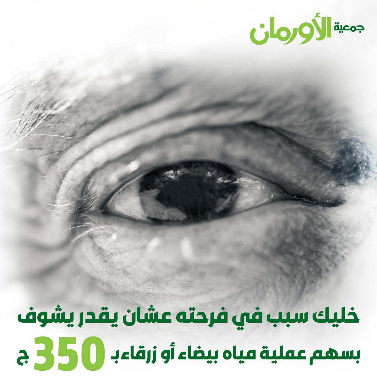 الخبر