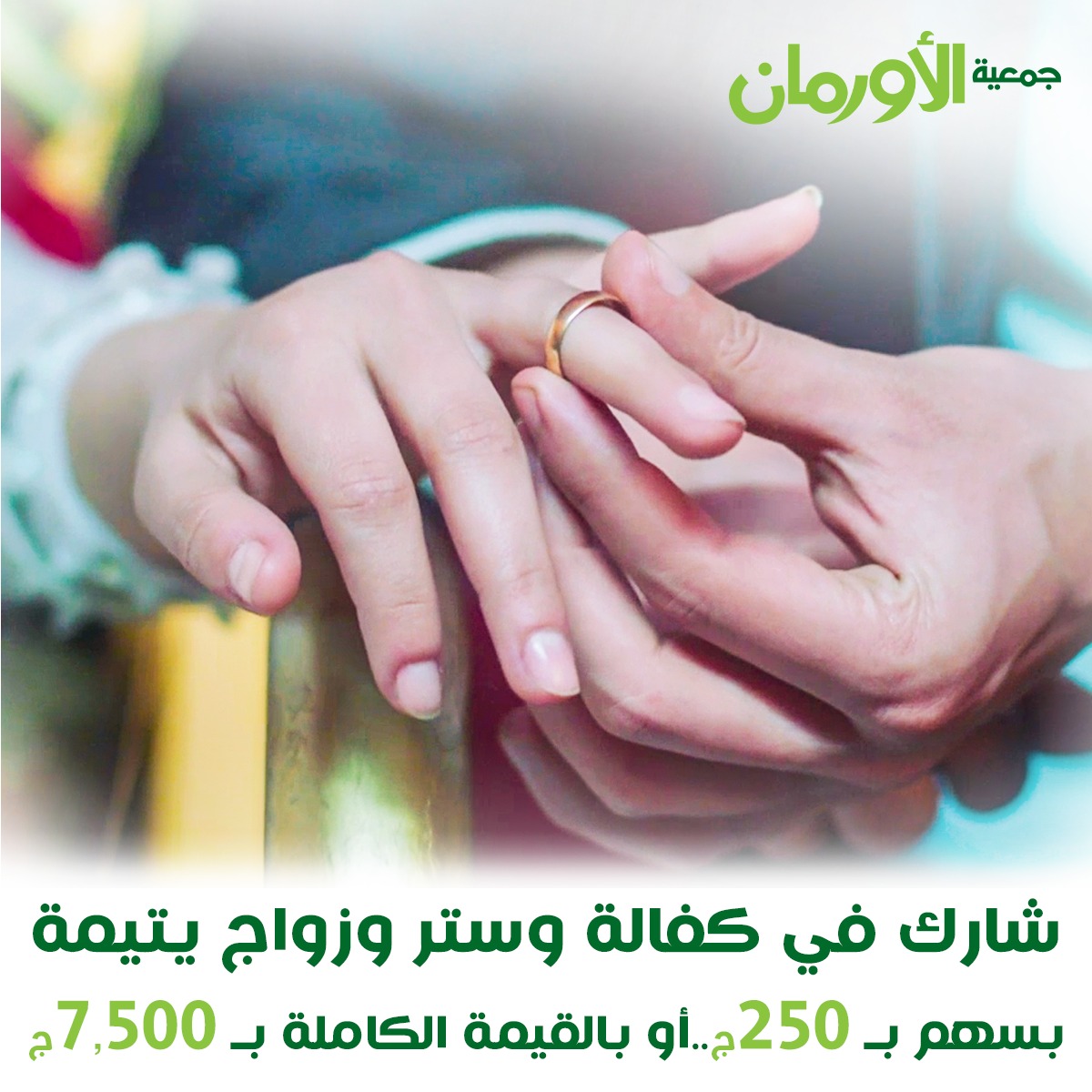 الخبر
