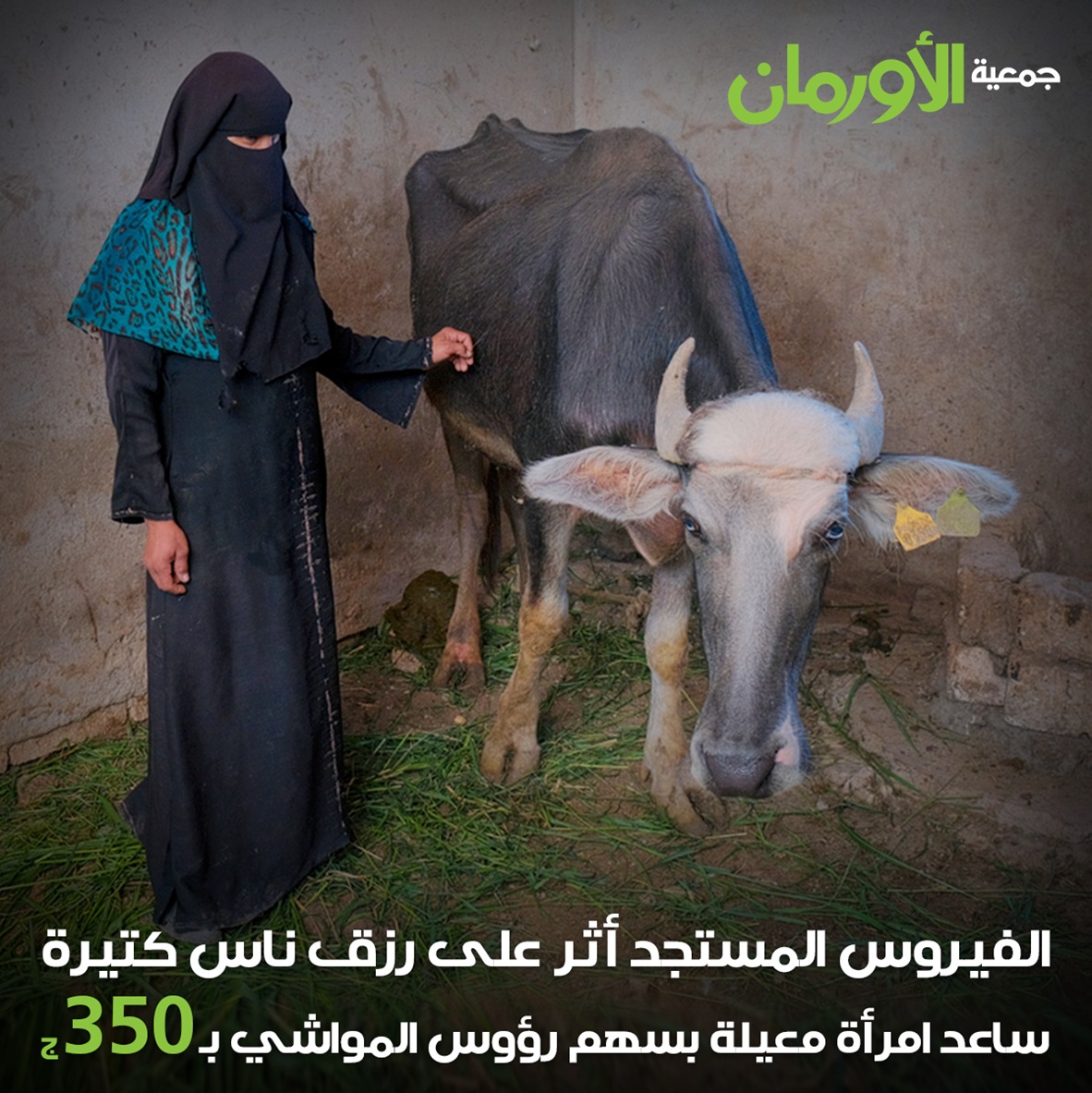 الخبر