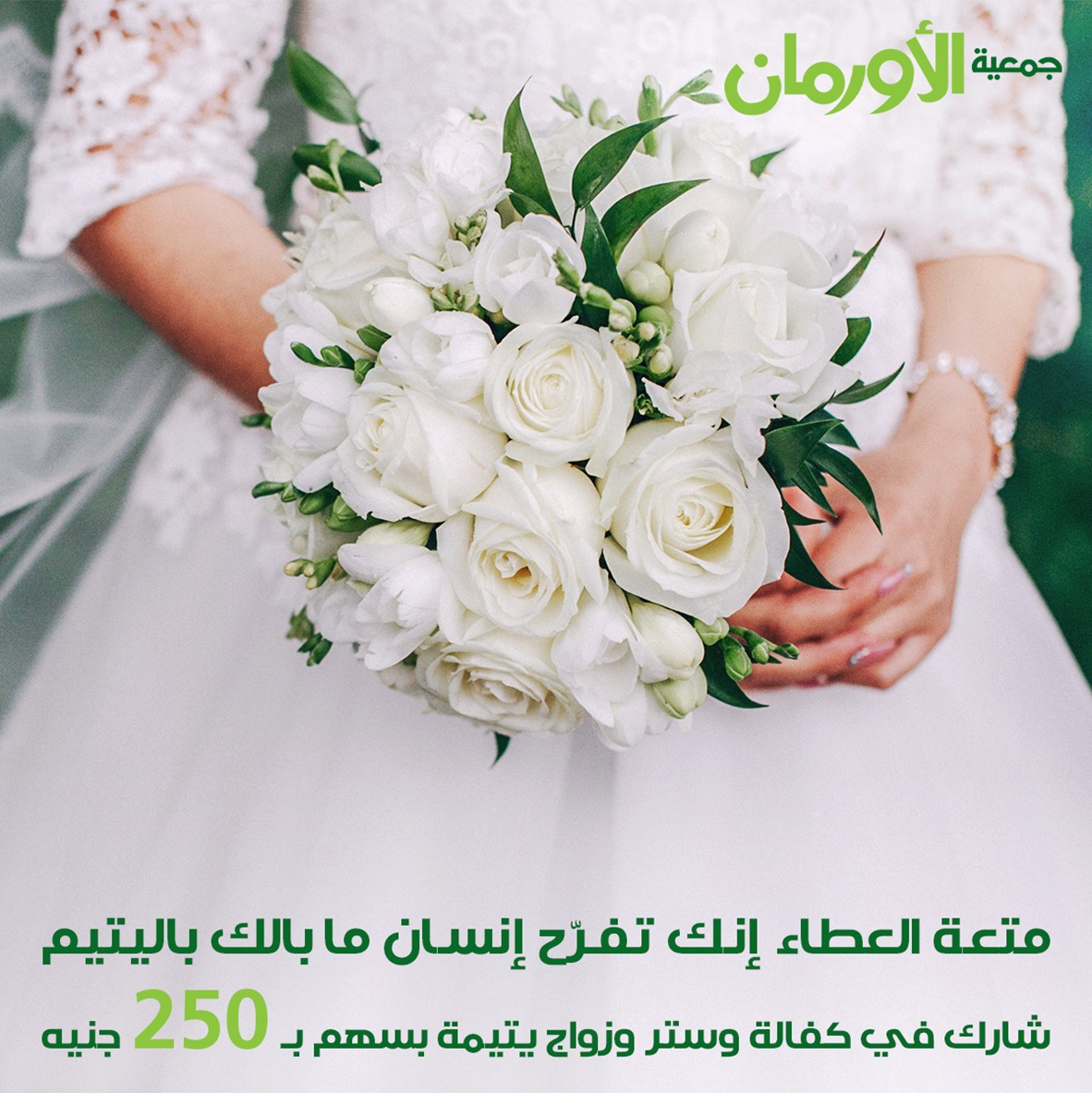 الخبر
