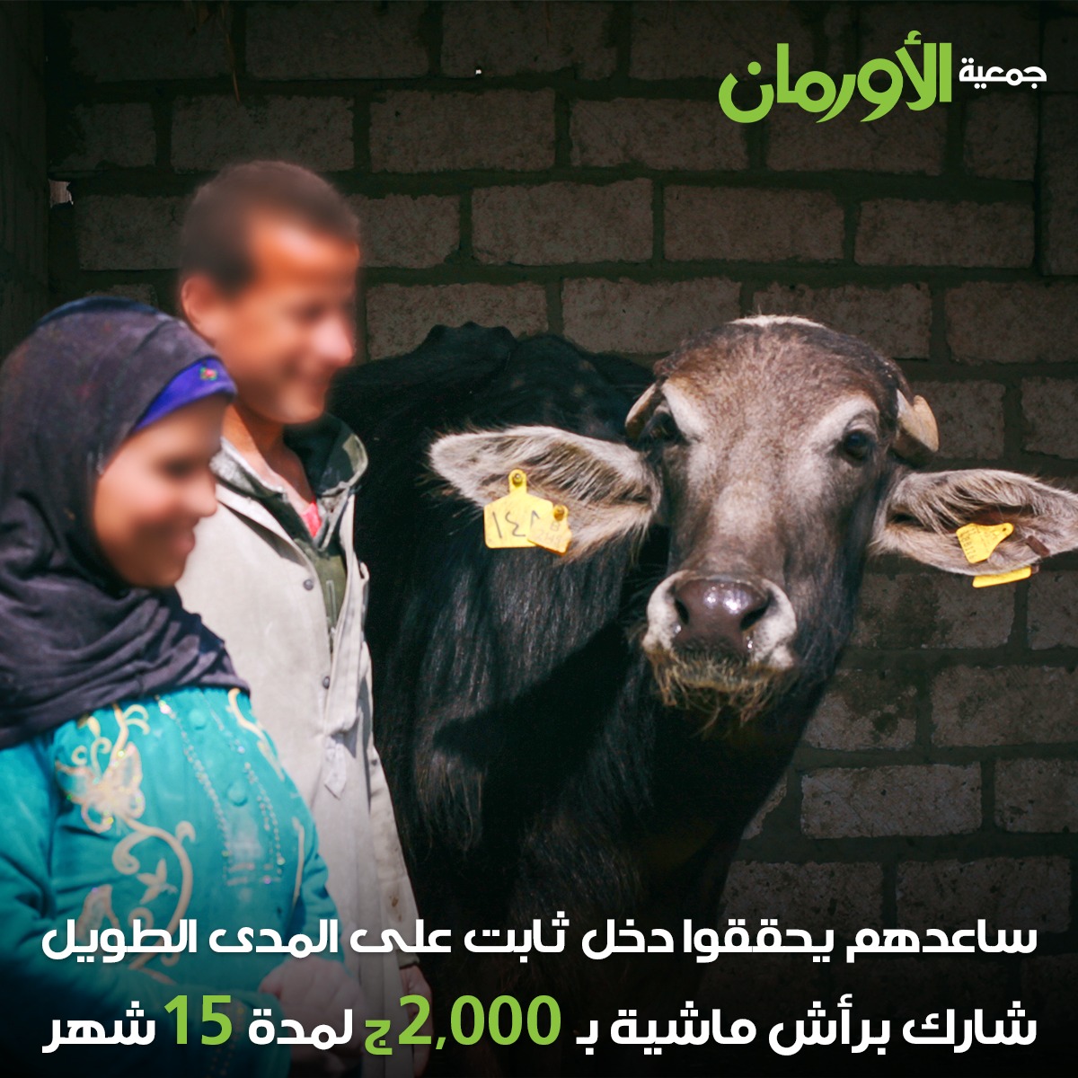 الخبر