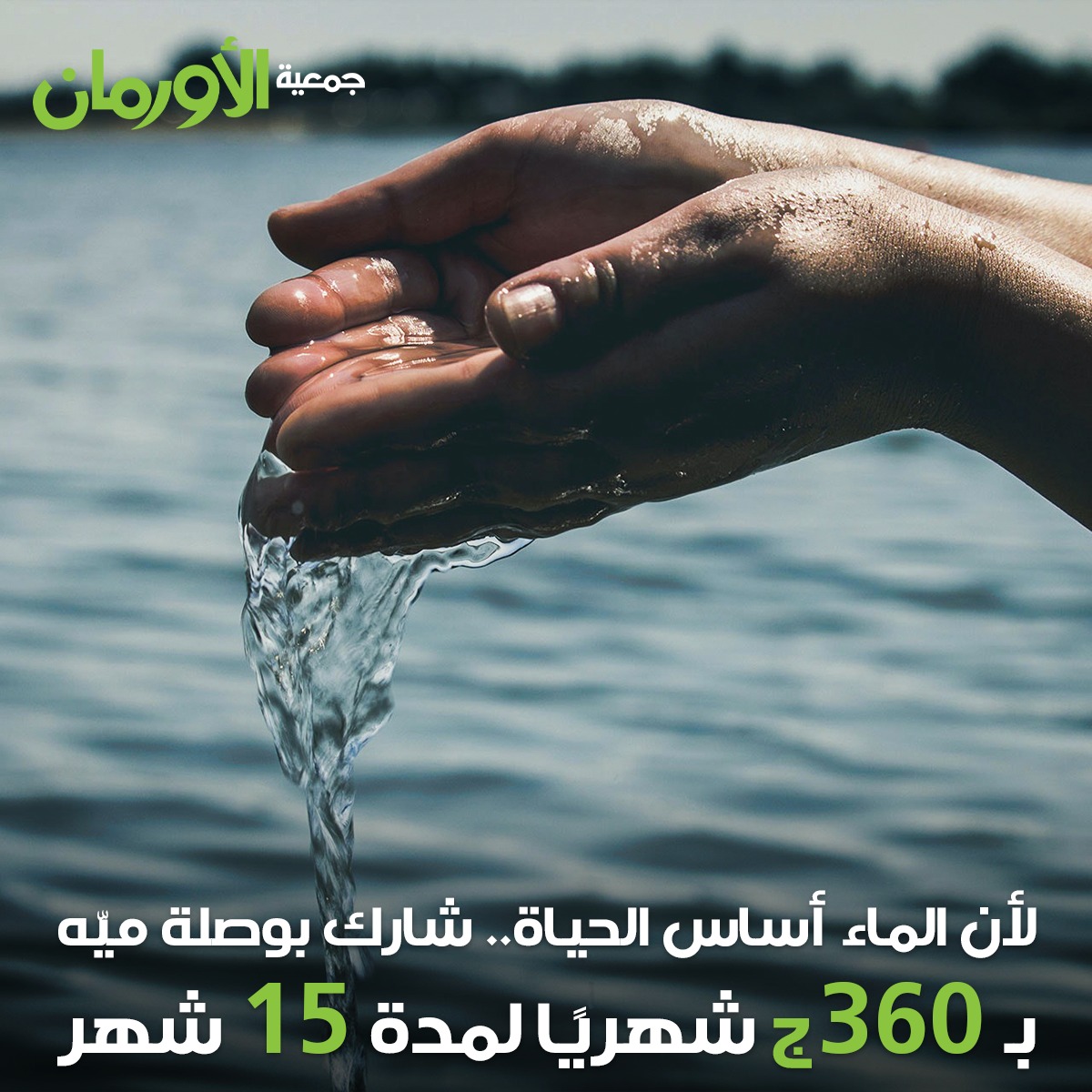 الخبر