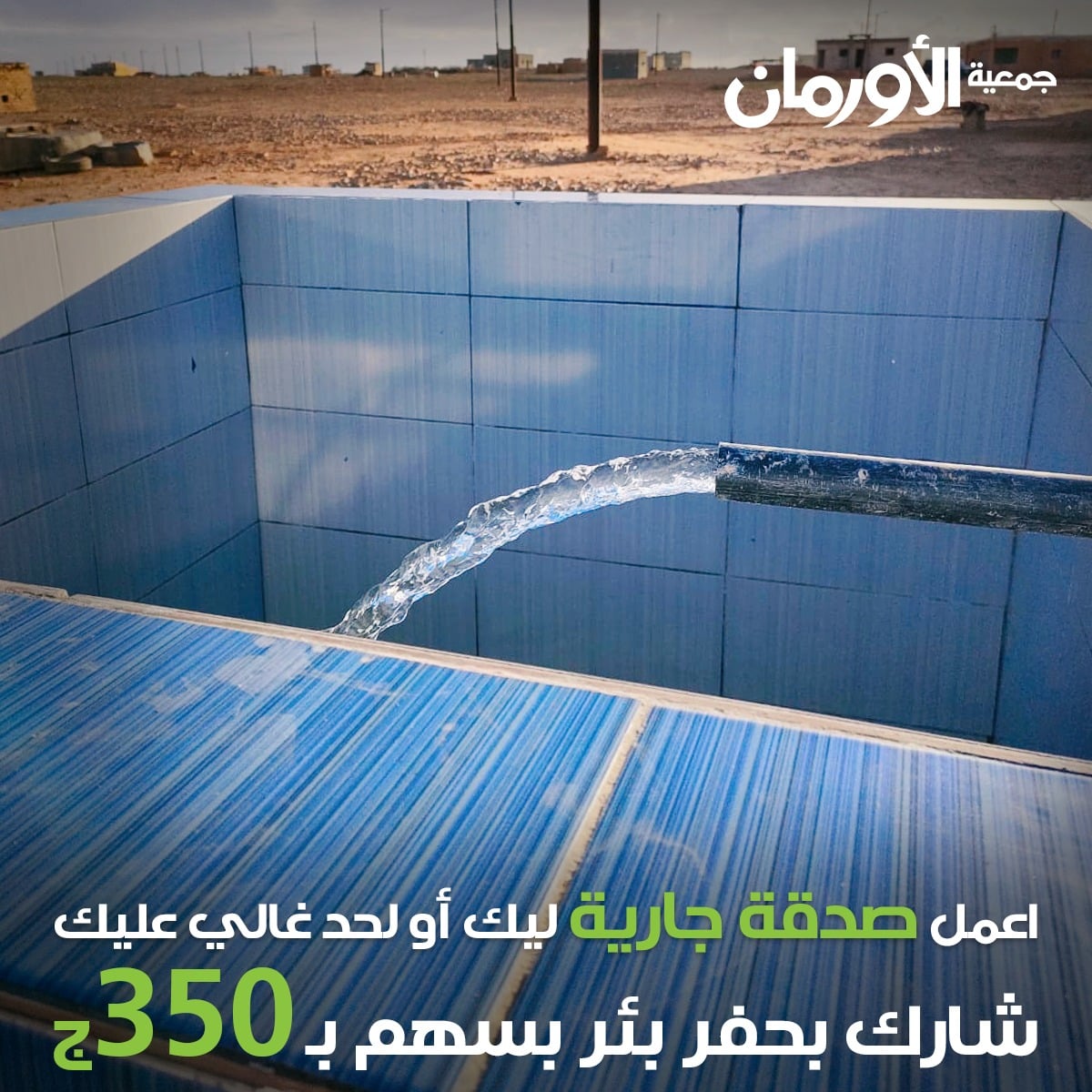 الخبر