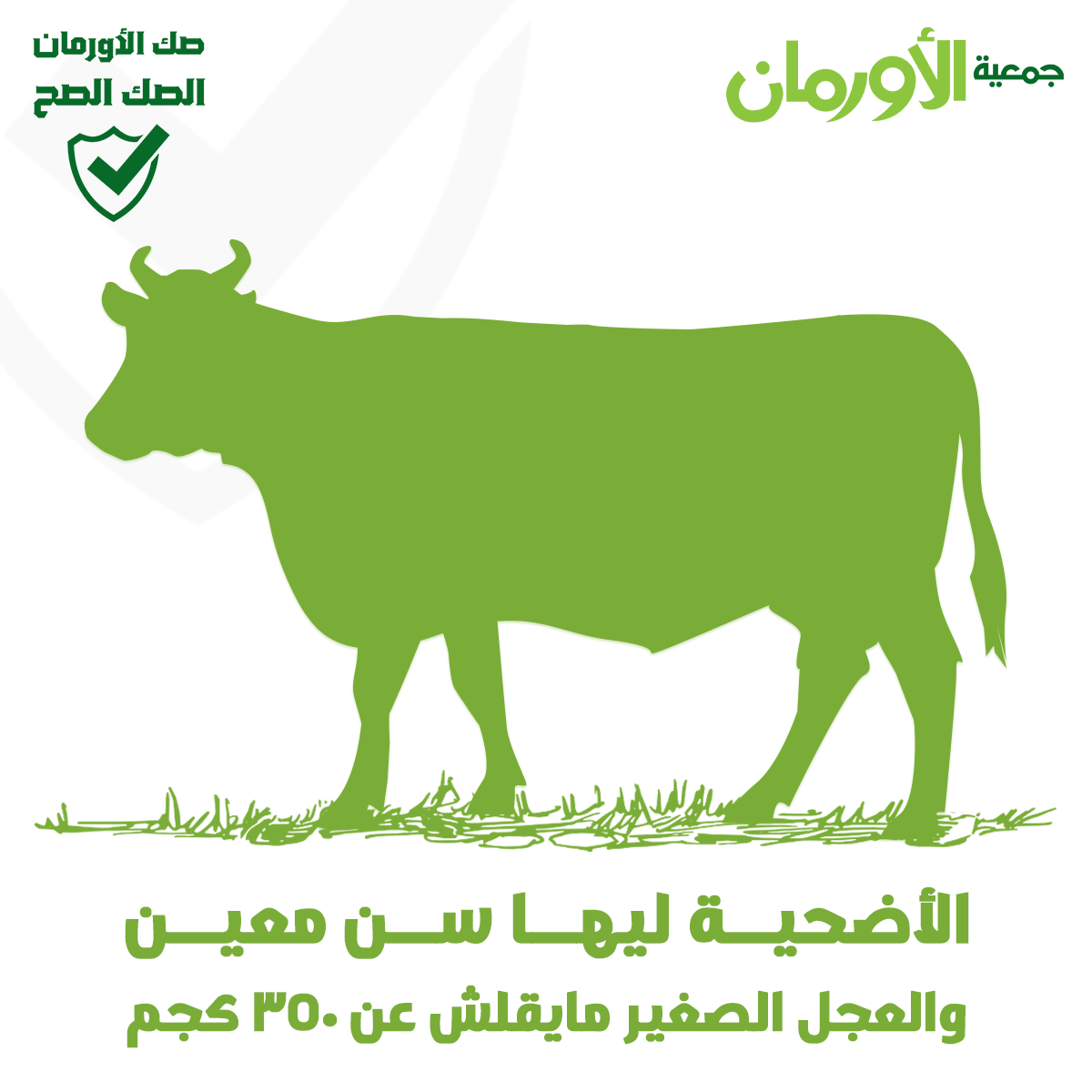 الخبر