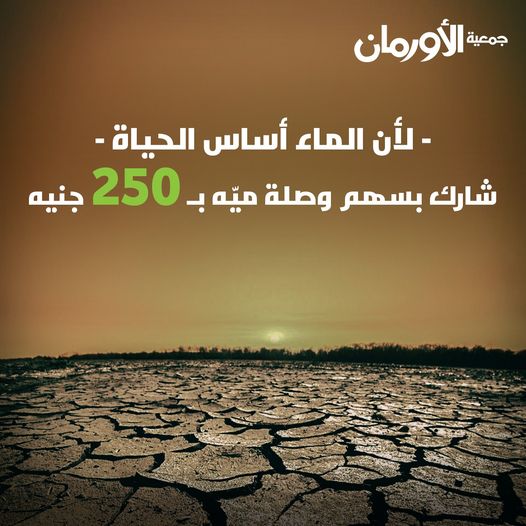 الخبر