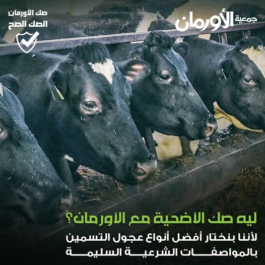 الخبر