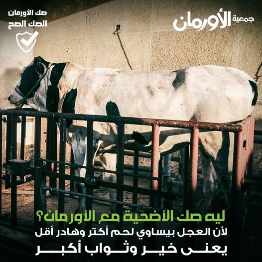 الخبر