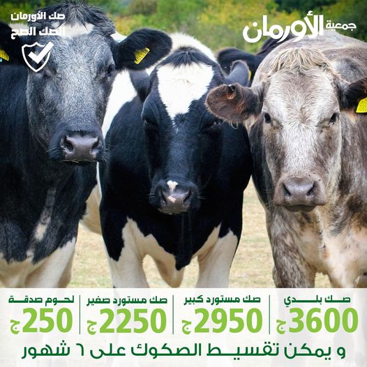 الخبر