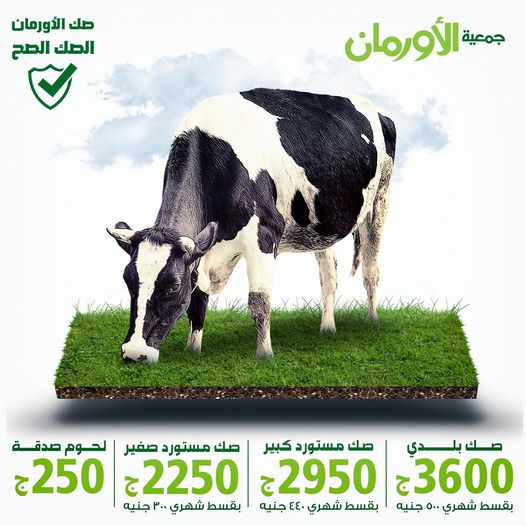 الخبر