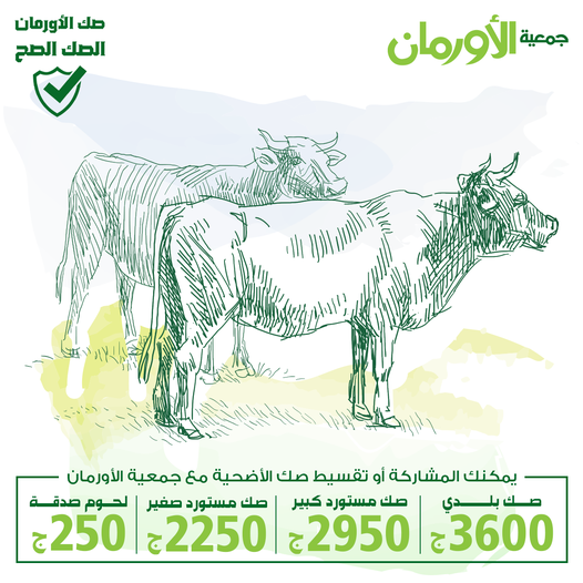 الخبر