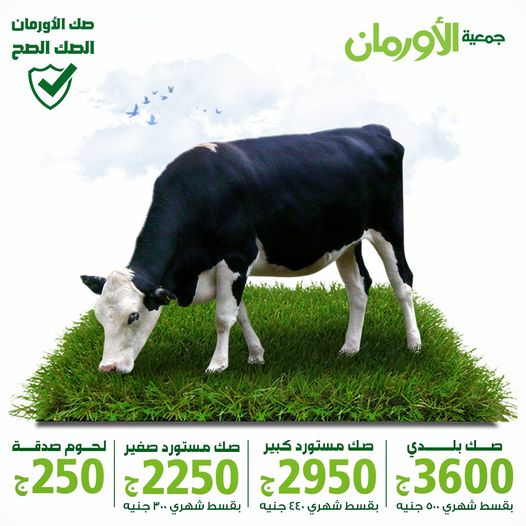 الخبر