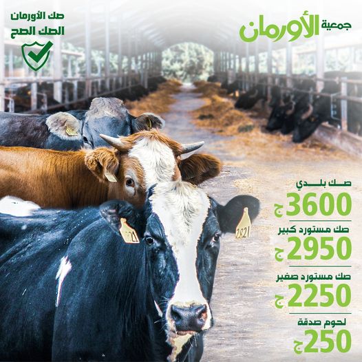 الخبر