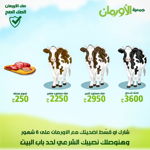 الخبر