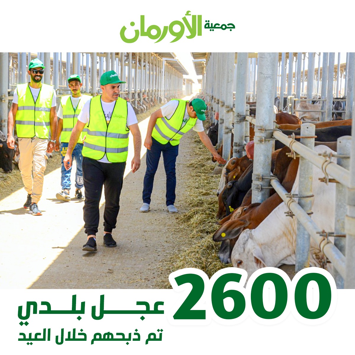 الخبر