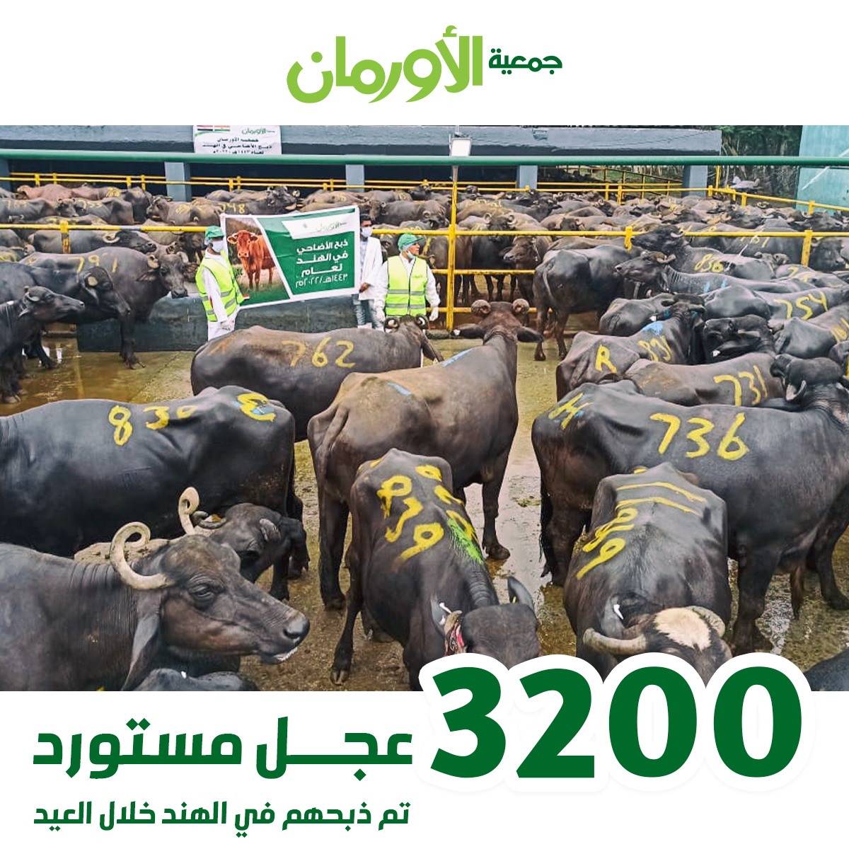 الخبر