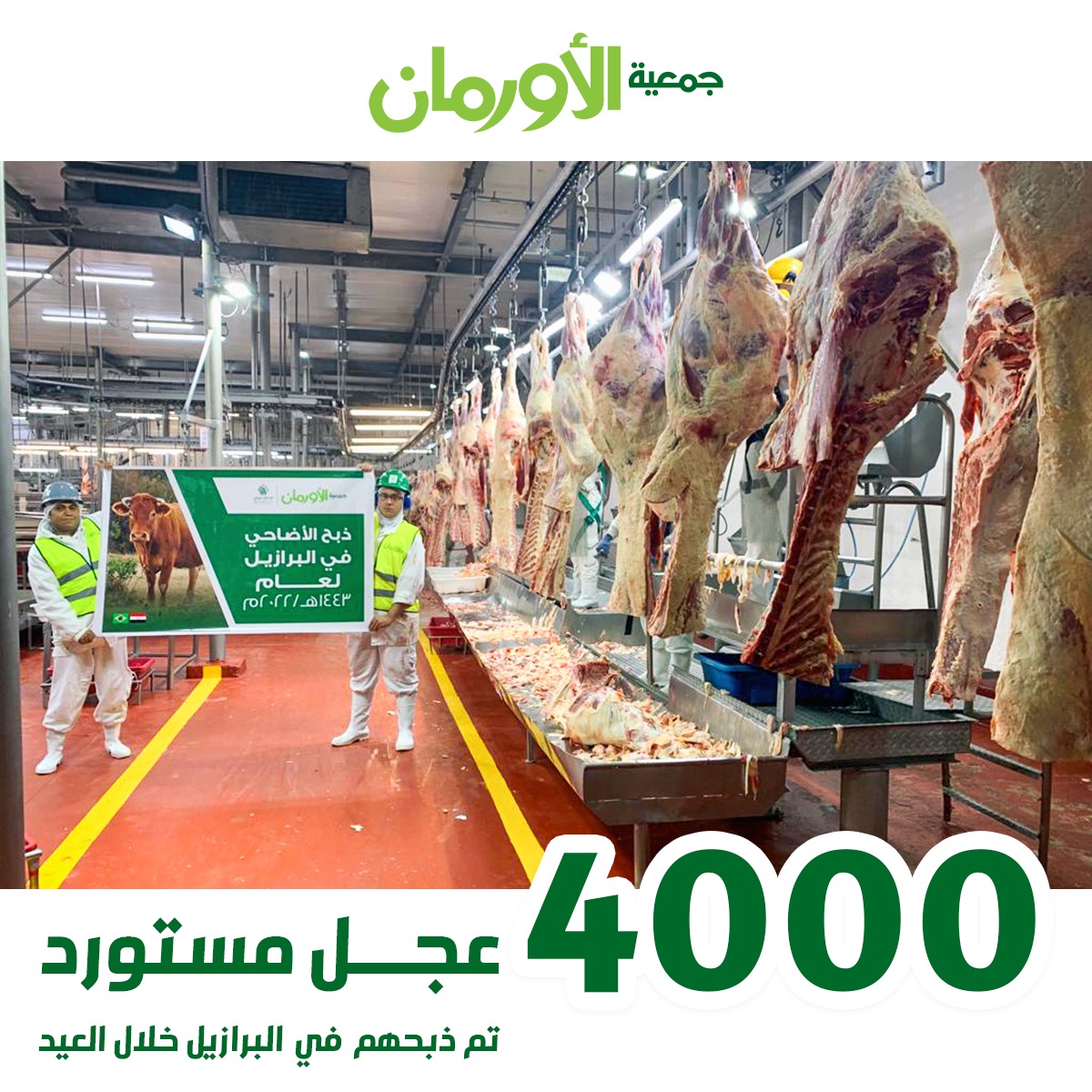 الخبر