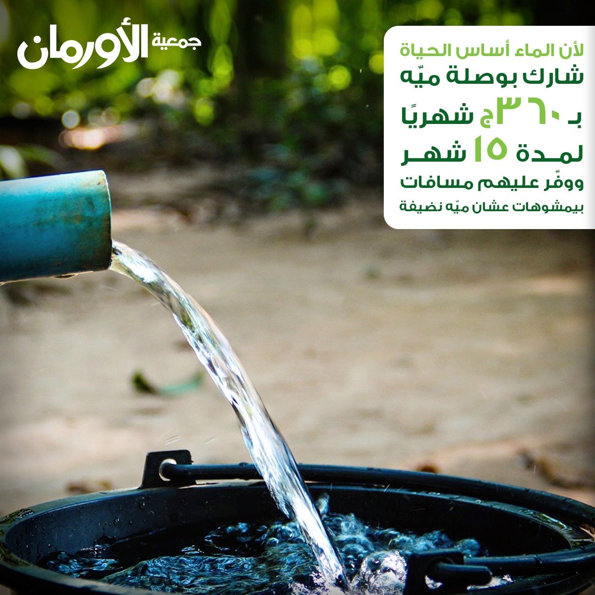 الخبر