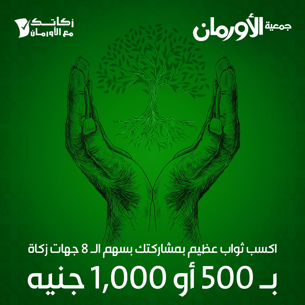 الخبر