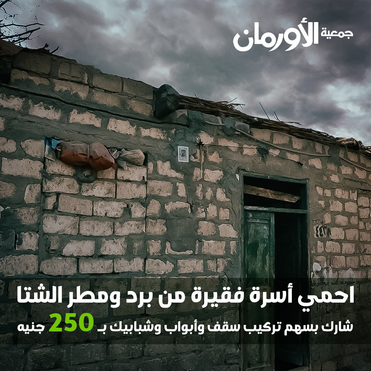الخبر