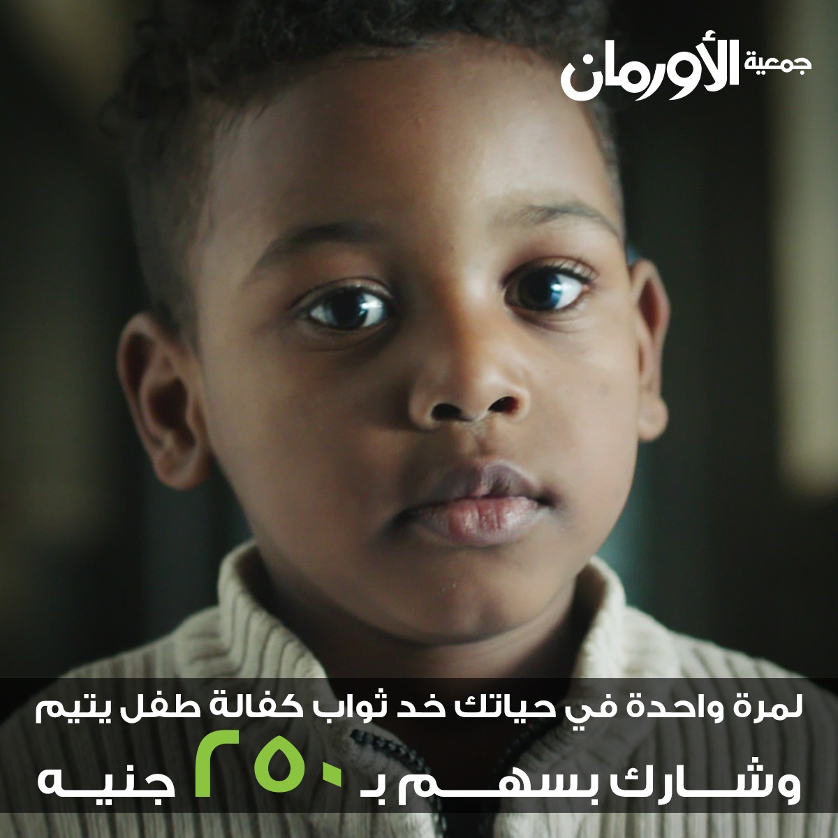 المهيدب الخبر