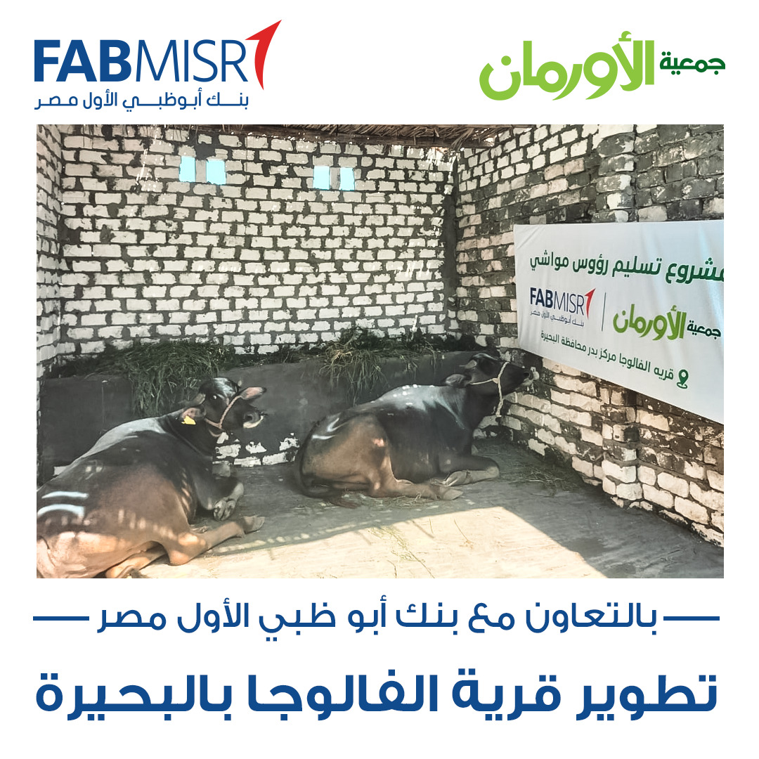الخبر